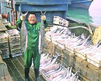 青島本地春鲅魚(yú)價(jià)格漲1半 200元1條女婿難笑