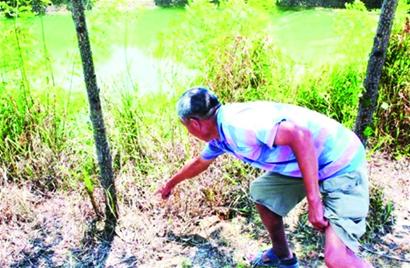 青島祖孫離奇溺亡水塘尸體頭部不停冒血 家人懸賞捉兇