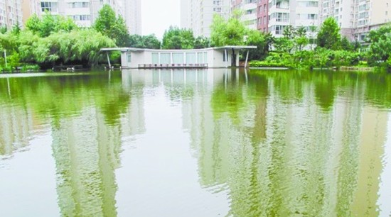 青島排水系統(tǒng)經(jīng)住暴雨考驗 揭秘如何留住雨水