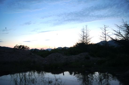 探秘青島大河?xùn)|神秘濕地:芳草叢生水鳥(niǎo)飛翔時(shí)光寂然