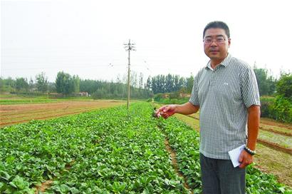 青島年入百萬包工頭隱居山林 賞如畫風(fēng)景種菜養(yǎng)鴨