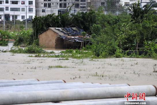 臺風(fēng)山神過境三亞大風(fēng)暴雨 市民街上下網(wǎng)捕魚