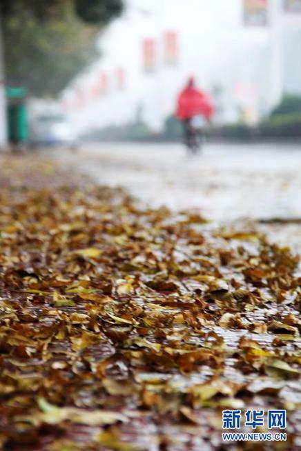 #（社會(huì)）（2）寒潮侵襲北方大部 多地現(xiàn)大范圍降溫雨雪天氣