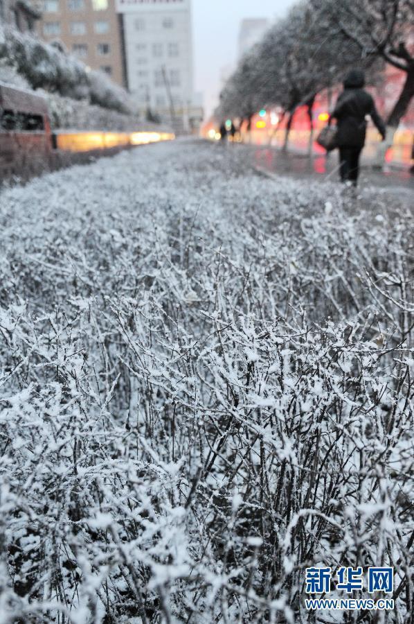 （生態(tài)）（3）內(nèi)蒙古東部、東北大部遭遇寒潮降雪天氣