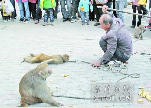 　　耍猴人當街暴打猴子，引起圍觀市民的反感。(豎戈攝)