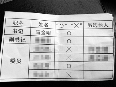 部分黨員提供的“選票”。新京報(bào)記者 劉珍妮 攝