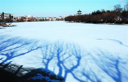 萊西進入冰雪世界全民抗寒 土豆白菜全藏地窖