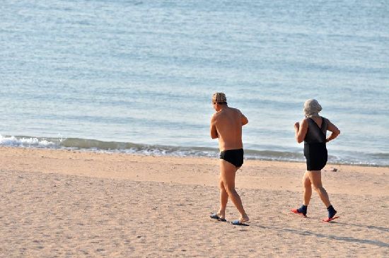 前海一線海水結冰 極寒天難擋冬游健將