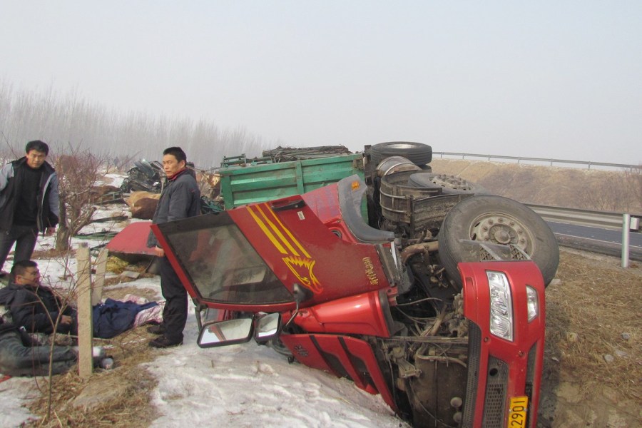 山東貨車(chē)側(cè)翻15頭牛死亡 村民趁亂割牛腿