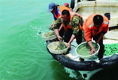 黃島石嶺子、齋堂島兩處人工魚(yú)礁一期項(xiàng)目均已建成 將開(kāi)展垂釣潛水等休閑項(xiàng)目