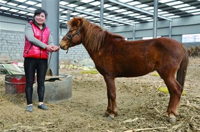 村民開辦家庭動(dòng)物園免費(fèi)對外開放