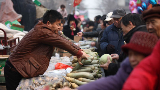 Green Radish